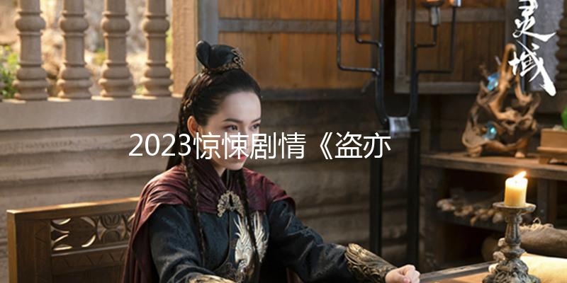 2023惊悚剧情《盗亦有道》1080p.BD中英双字