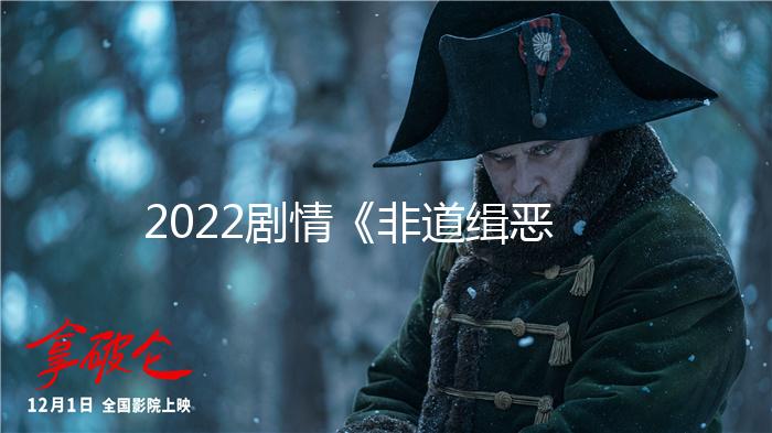 2022剧情《非道缉恶》1080p.HD国语中字